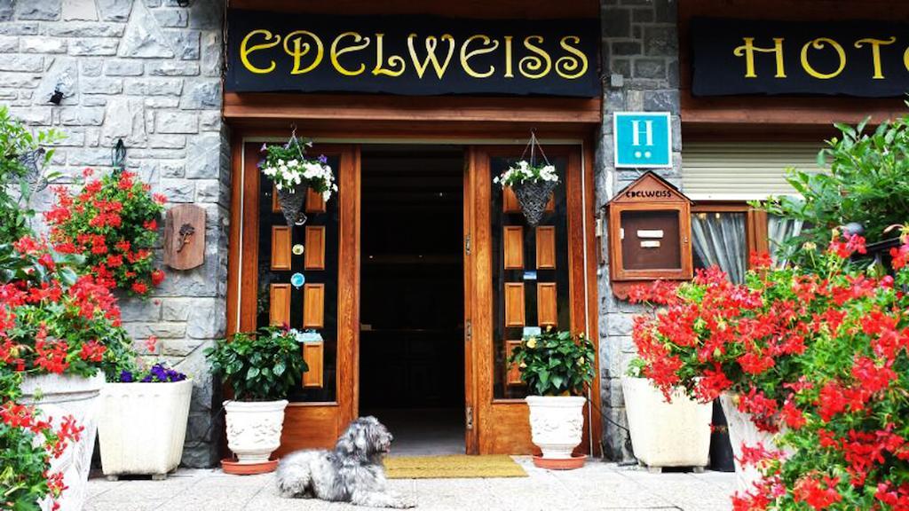 Edelweiss Hotel Torla Exteriör bild